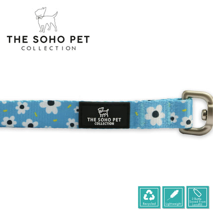 Soho Pet Daisy Lead 100 x 19cm