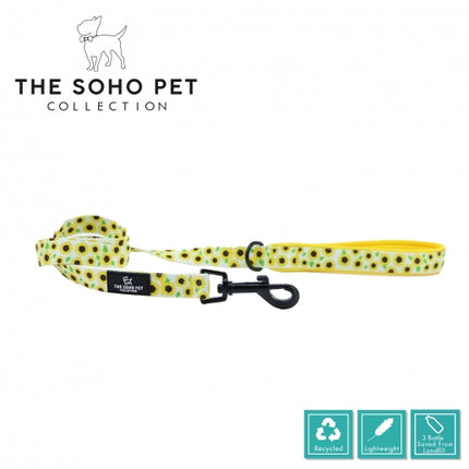 Soho Pet Sunflower Lead 100 x 19cm