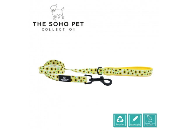 A green and yellow striped pet leash with a padded handle and a D ring, branded with 'the SOHO PET COLLECTION' and eco-friendly symbols.