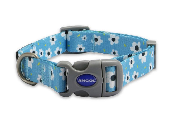 Dog collar with blue floral pattern and Ancol logo on a white background