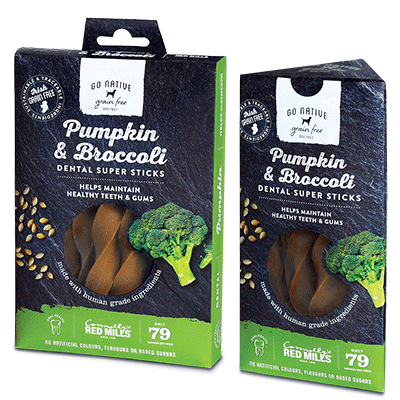 Go Native Pumpkin & Broccoli Dental Chews 150g