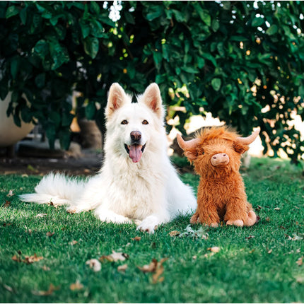 Highland Cow Dog Toy Jumbo 34 x 34cm