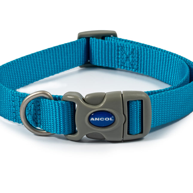 Viva Nylon Adjustable Dog Collar Blue