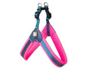 Max and Molly Dog Harnesses