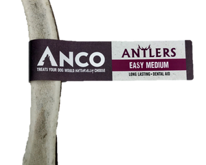 Anco Antlers