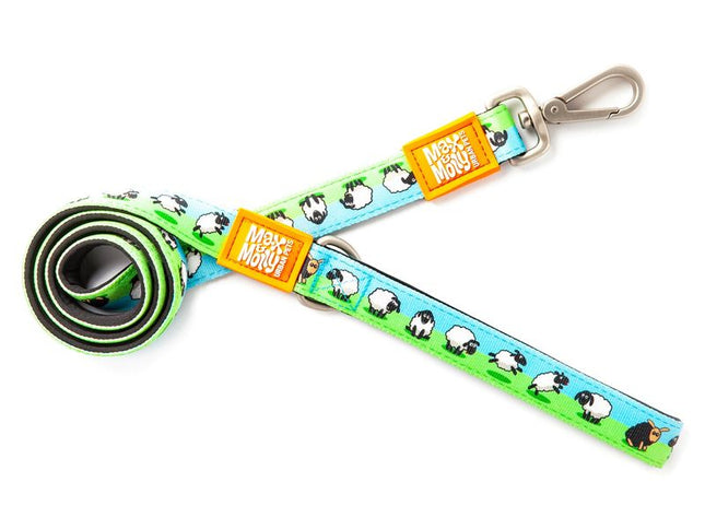 Max & Molly Black Sheep Lead