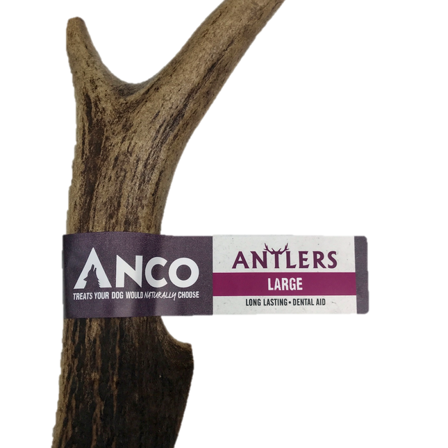 Anco Antler Dental Chew Large