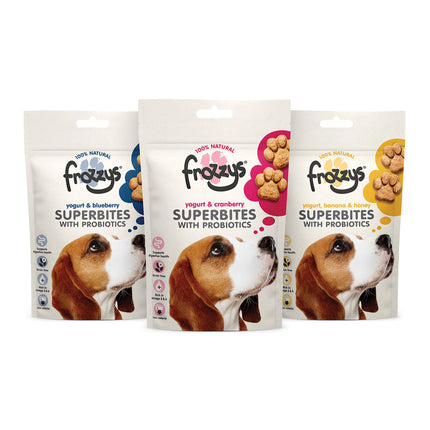 Frozzys Superbites With Probiotics, Yogurt, Blueberry 100g