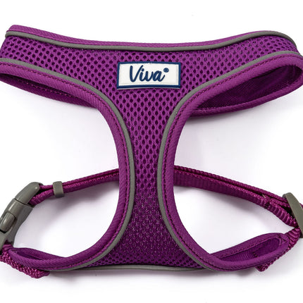 Comfort Mesh Dog Harness Purple