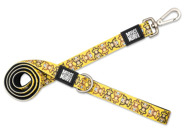 Max & Molly Monkey Maniac Lead