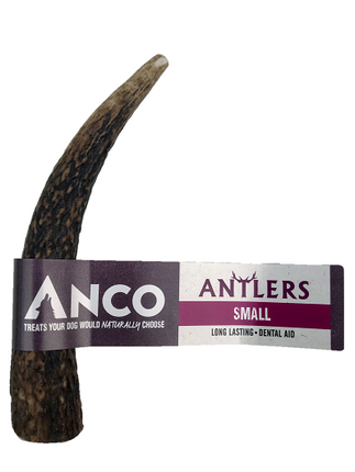 Anco Antler Dental Chew Small