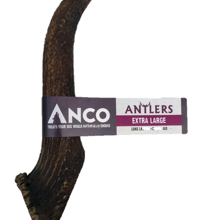 Anco Antler Dental Chew X-Large