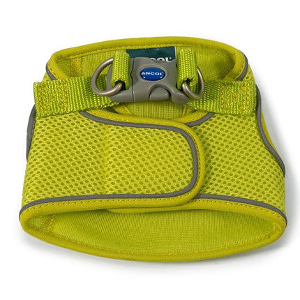 VIVA STEP IN MESH DOG HARNESS LIME