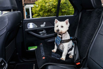 Pet Rebellion Car Seat Carpet Elite