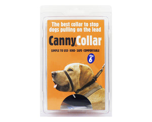 Head Collars & Training