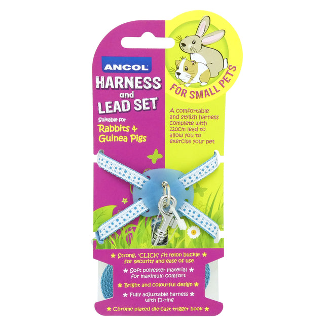 RABBIT & GUINEA PIG HARNESS & LEAD SET BLUE