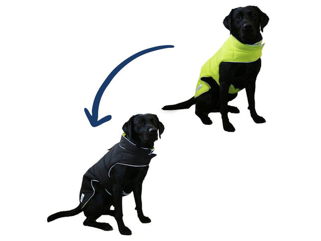 Viva Reversible Dog Coat Black/Hi-Vis