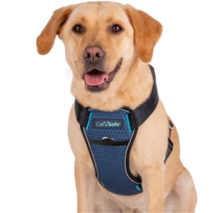 CarSafe Crash Tested Harness Blue