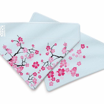 Max & Molly Cherry Blossom Bandana