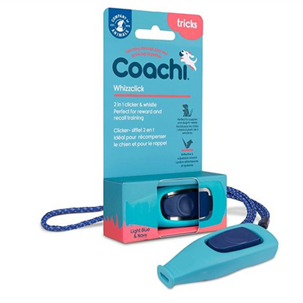 Coachi Whizzclick Light Blue