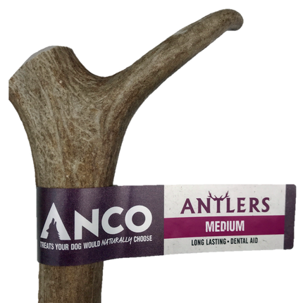 Anco Antler Dental Chew Medium