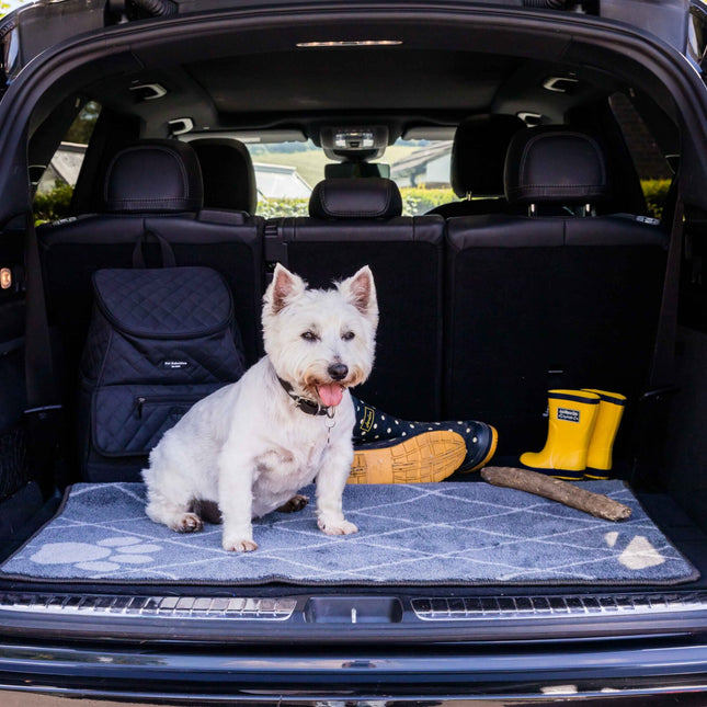 Pet Rebellion Boot Mate Trellis