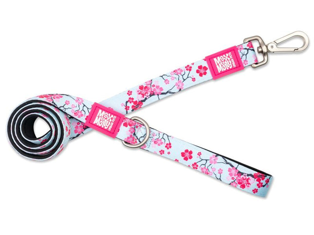 Max & Molly Cherry Blossom Lead