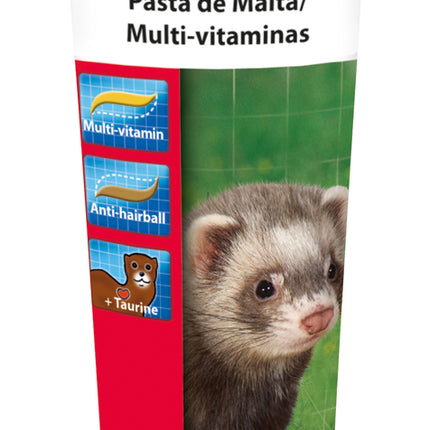 Ferret Vitamin Paste 100g